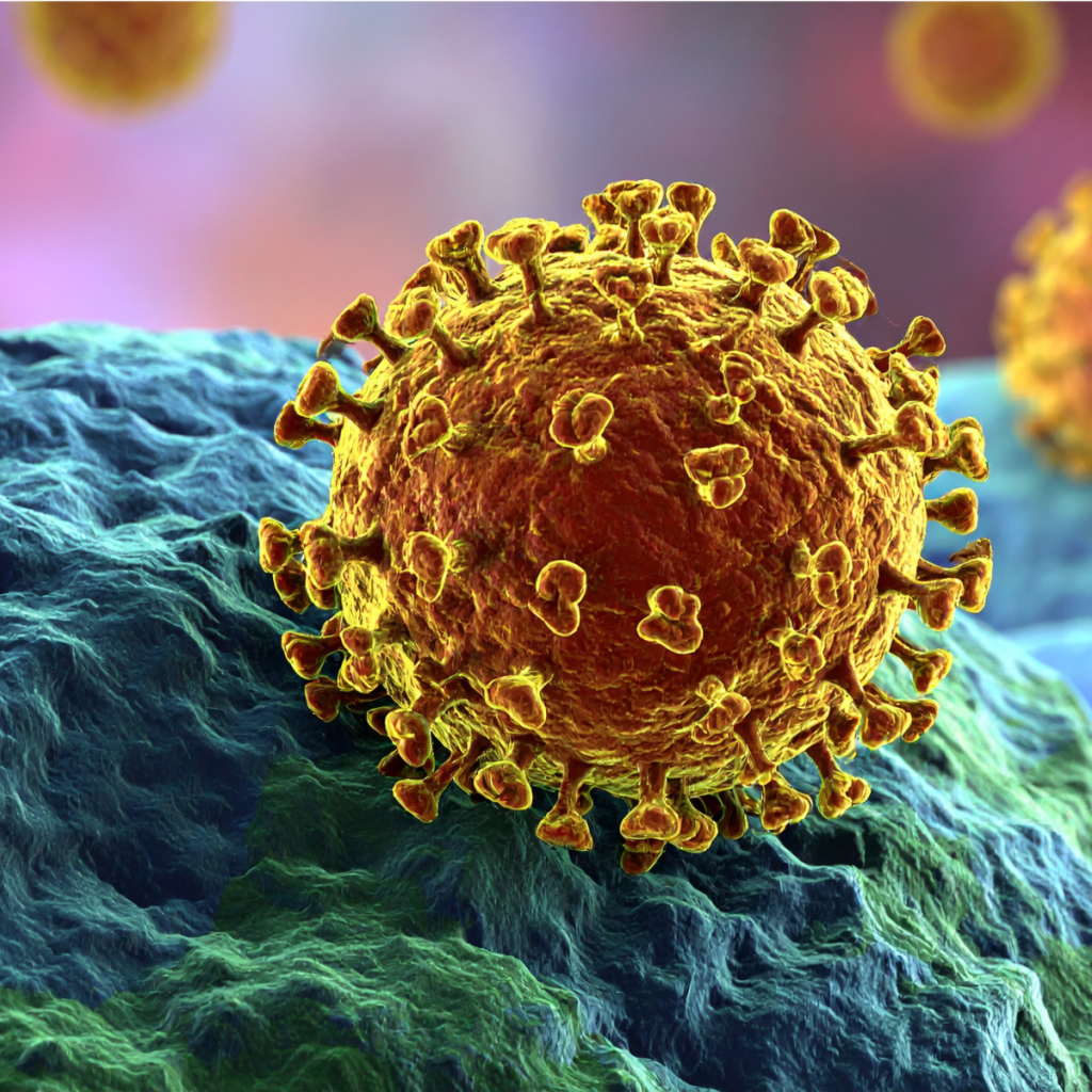 Medical illustration of the coronavirus.