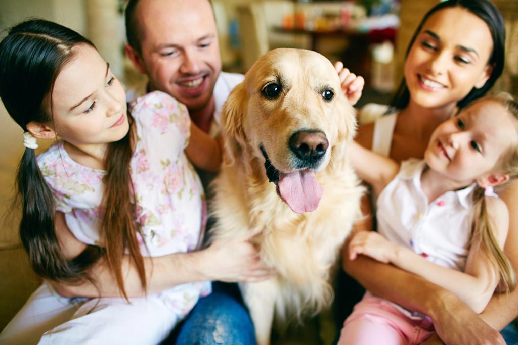 A golden retriever surrounded by a family.