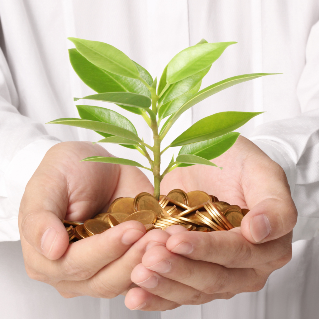 Growing Money