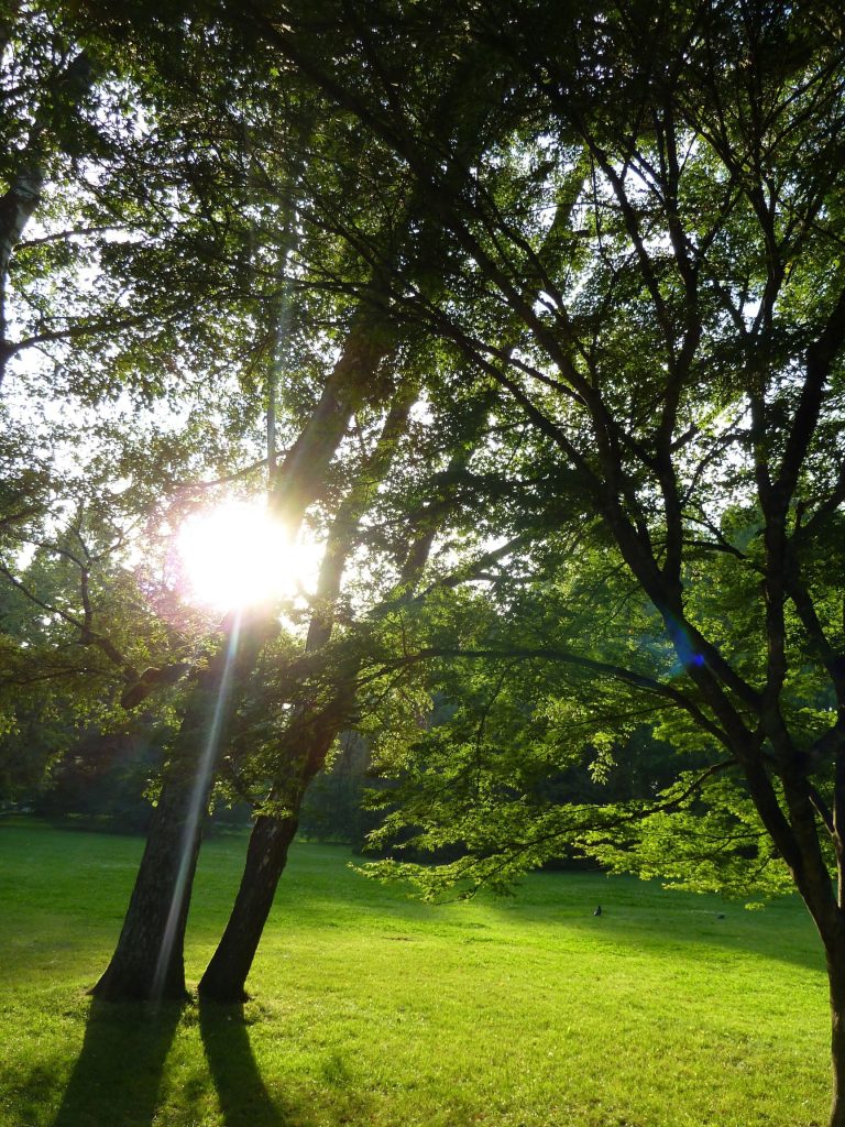 Valuing Assets After Death